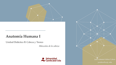 Musculos-de-la-cabeza.pdf