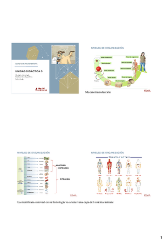 UD0.pdf