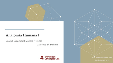 Musculos-del-abdomen.pdf