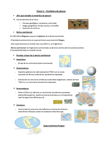 Tema-5-geologia.pdf
