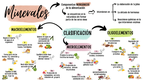 MAPA-MENTAL-MINERALES-PDF.pdf