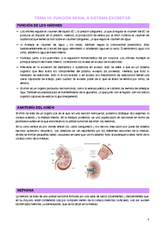 Tema 10 - Sistema excretor.pdf