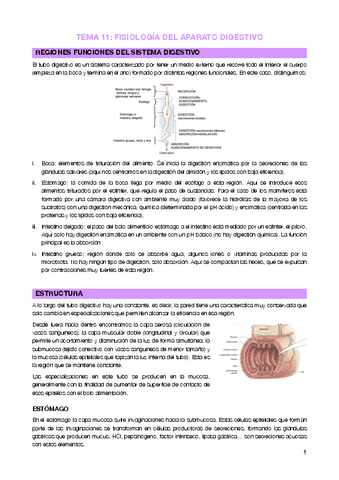 Tema 11 - Sistema digestivo.pdf