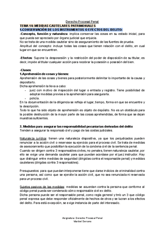 TEMA-14-Procesal-Penal.pdf