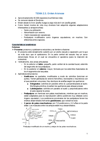 TEMA-2.pdf