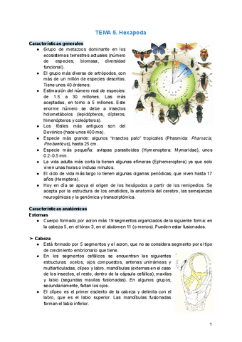 TEMA-5.pdf