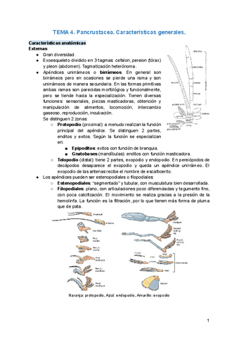 TEMA-4.pdf