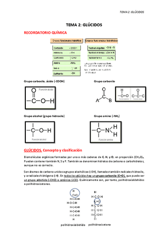 TEMA-2.-GLUCIDOS.pdf