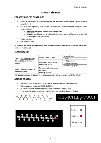 TEMA-3.-LIPIDOS.pdf