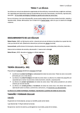 TEMA-7.-LA-CELULA.-NUCLEO.pdf