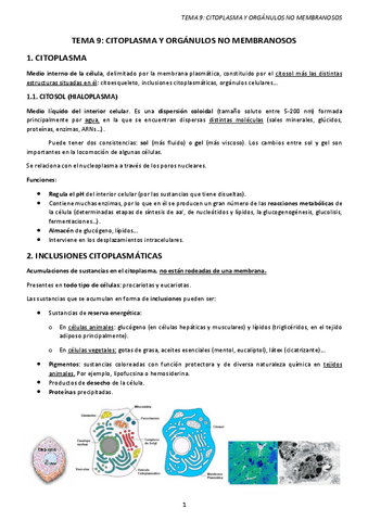 TEMA-9.-CITOPLASMA-Y-ORGANULOS-NO-MEMBRANOSOS.pdf