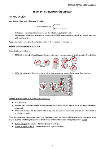 TEMA-10.-REPRODUCCION-CELULAR.pdf