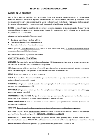 TEMA-13.-GENETICA-MENDELIANA.pdf