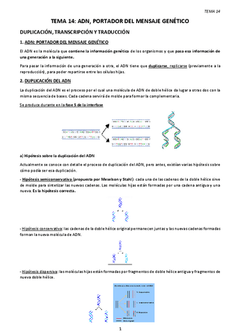 TEMA-14.-ADN-PORTADOR-DEL-MENSAJE-GENETICO.pdf