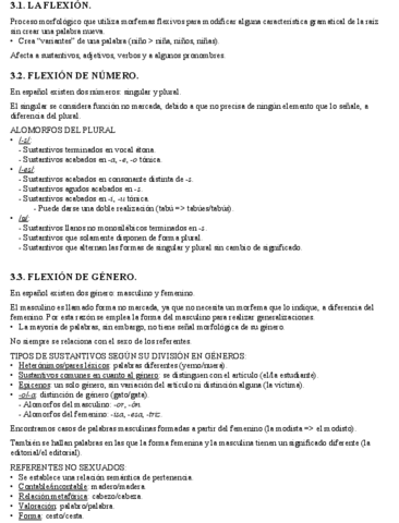 3.-Morfologia-flexiva.pdf