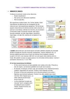 Apunts immunologia.pdf