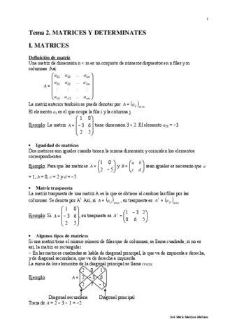 Tema-02-Matrices-y-determinantes-13.pdf