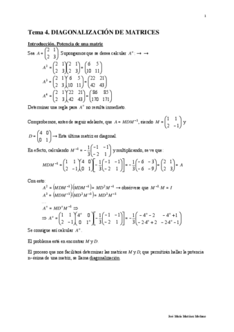 Tema-04-AM-G-DIAGONALIZACION141.pdf
