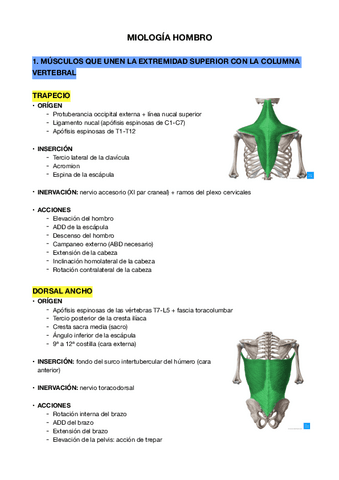 Miologia-Hombro-1-EESS.pdf