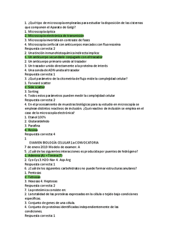 Documento12.pdf