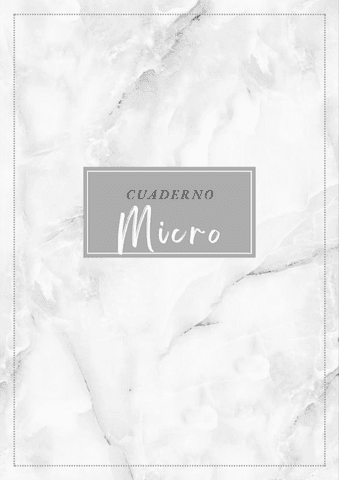 micro.pdf