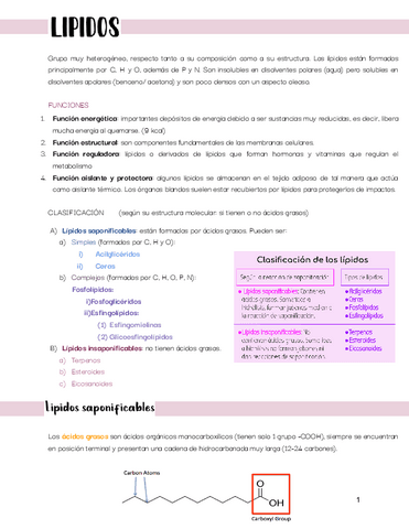 Biomoléculas 2. A partir de lípidos.pdf