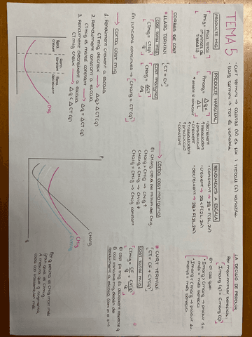 tema-5.pdf