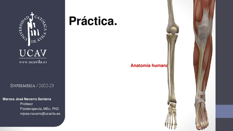 Practica.-Anatomi.-Extremidades.pdf