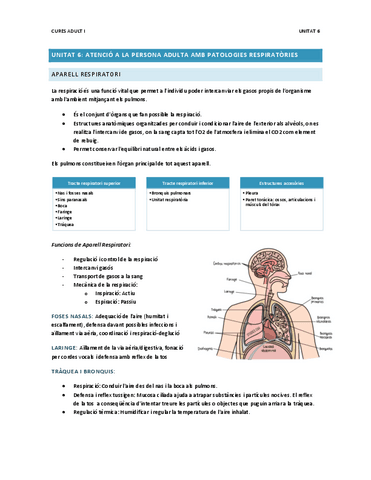 Unitat-6.-Aparell-Respiratori.pdf