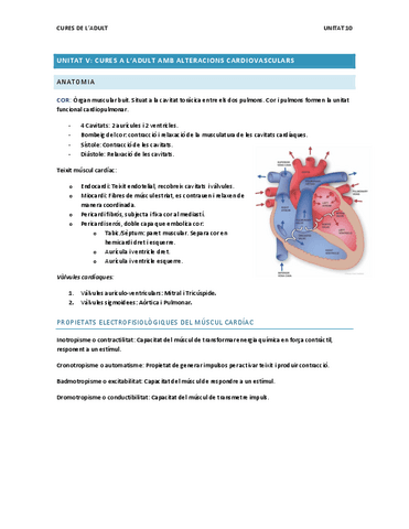 Unitat-5.-Cardiovascular.pdf