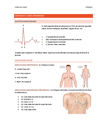 SEMINARI-II-ECG.pdf