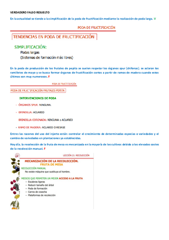 VERDADERO-FALSO-RESUELTO.pdf