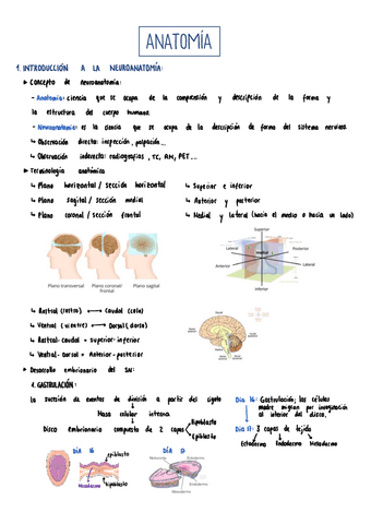 Tema-1.pdf