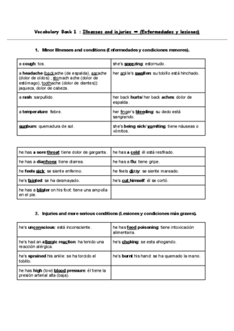 Vocabulary-Bank-1--Illnesses-and-injuries-Enfermedades-y-lesiones.pdf