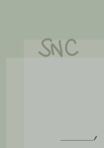 3.2-SNC.pdf