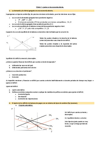 Tema-7.pdf