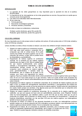 TEMA-8-ciclos.pdf