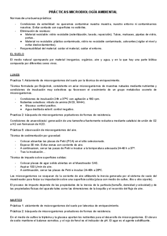 Practicas.docx.pdf