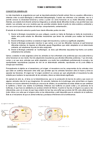 TEMA-1-introduccion.pdf