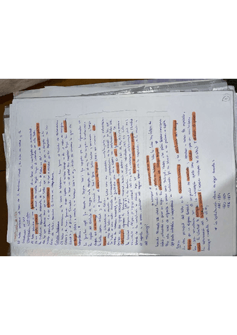 IMG4915-1.pdf