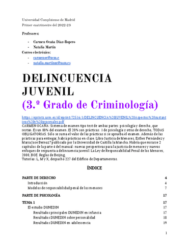 Delincuencia-Juvenil.pdf
