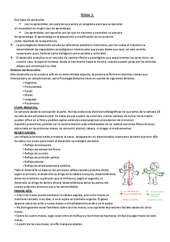 TEMA-2-RESUMEN.pdf