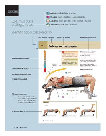 Agonista-musculo-que-trabaja-se-contrae.-Sinergista-musculo-que-contribuye-a-la-accion-del-agonista..pdf