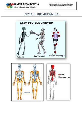 biomecanica.pdf