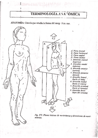 RESUMEN-Libro-Movimientos.pdf