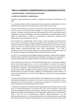 TEMA 14 MERCANTIL I.pdf