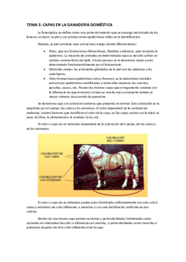 TEMA 5 CAPAS DE LOS ANIMALES DOMÉSTICOS.pdf