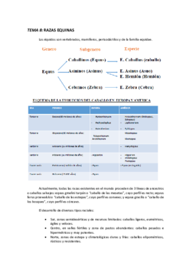 TEMA 8 RAZAS EQUINAS.pdf