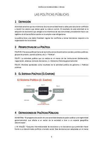 Politicas-de-seguridad-Completo.pdf