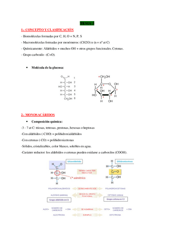TEMA-3-BIO.pdf